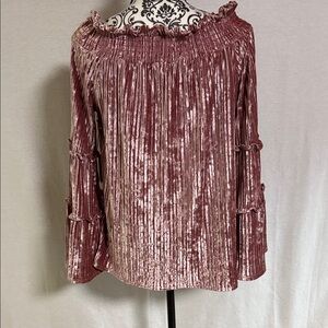 Hummingbird Crush Velvet Off-Shoulder Blouse in Mauve Rose Ruffle Neck-Sleeves